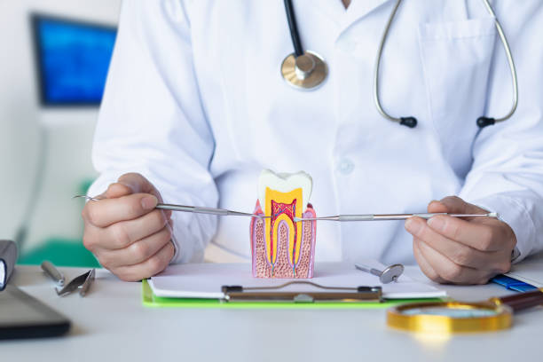 Best Mobile Emergency Dentist in Ancient Oaks, PA